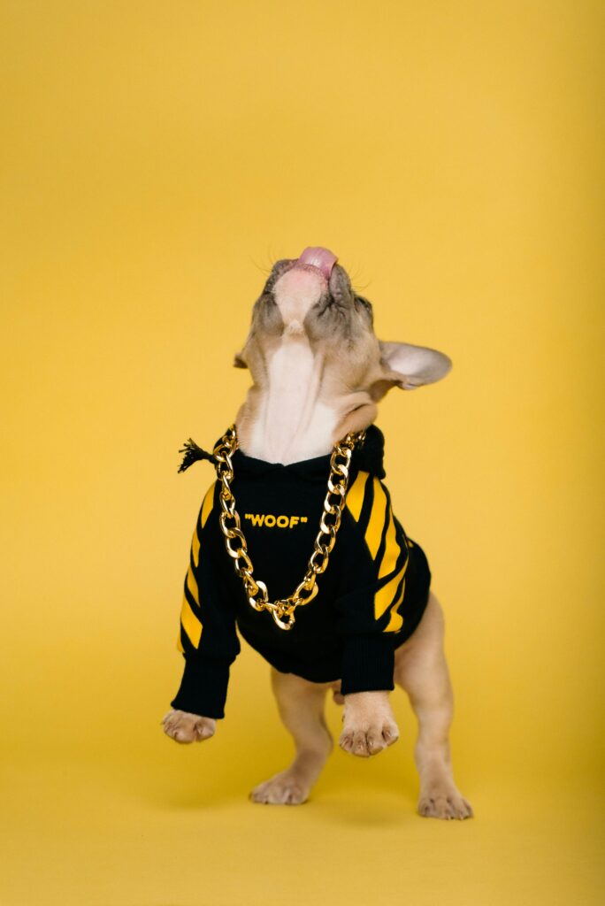 karsten winegeart sytld poglc unsplash