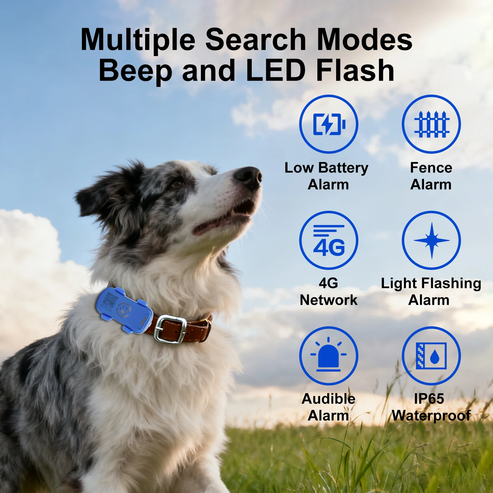 mioobark pet gps tracker features and modes