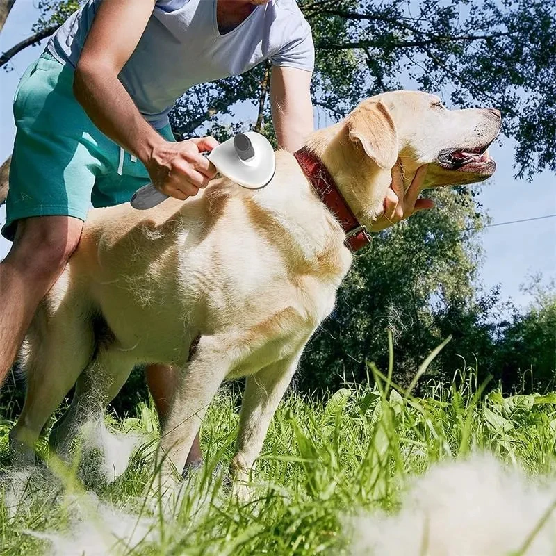 MiooBark Self-Cleaning Slicker Brush – Outdoor Grooming Demonstration Outdoor grooming demonstration using the MiooBark self-cleaning slicker brush on a large dog